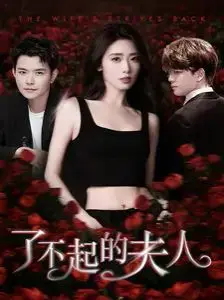 《了不起的夫人》：优雅背后的力量，婚姻与自我的觉醒之旅