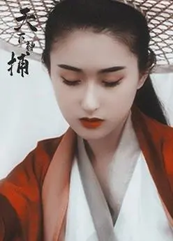 《天下神捕》：正义铁拳，揭秘江湖暗涌的权谋迷局！