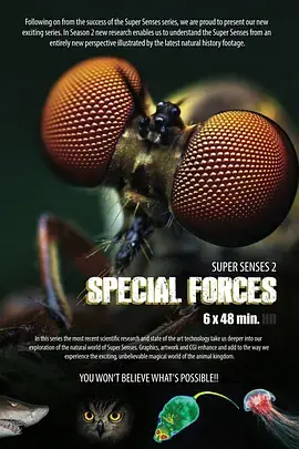 《动物特种部队》：爆笑冒险！看萌宠如何拯救世界，友情与勇气的激萌碰撞！