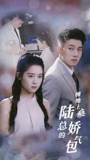 《缠她上瘾陆总的娇气包》：霸总甜宠升级，娇妻反撩，糖分超标预警！