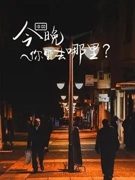 今晚你要去哪里：一部探索夜晚神秘与浪漫的惊心动魄冒险片，让你重新审视生活选择
