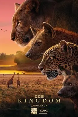 《动物王国2025》：末日进化狂想曲？不，这是对人性的终极拷问！